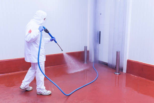 Paint Preparation in La Vista, NE