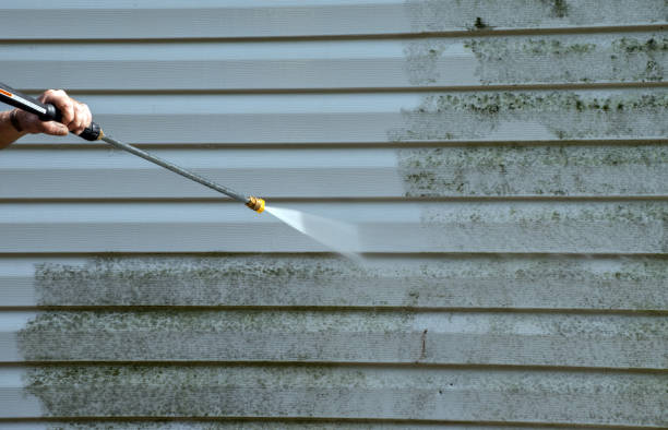 Best Building Exterior Washing  in La Vista, NE