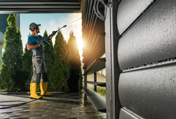 Best Driveway Pressure Washing  in La Vista, NE